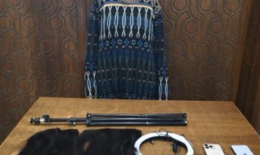 ضبط سيدة بالإسكندرية لاتهامها بالإعلان عن أعمال منافية للآداب عبر مواقع التواصل