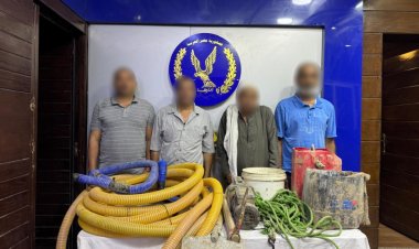 القبض على 4 أشخاص أثناء التنقيب عن الآثار داخل عقار في القاهرة