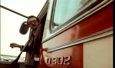 سواق الأتوبيس" من بينهم.. عرض 3 أفلام ضمن كلاسيكيات مصرية مرممة بمهرجان القاهرة اليوم 