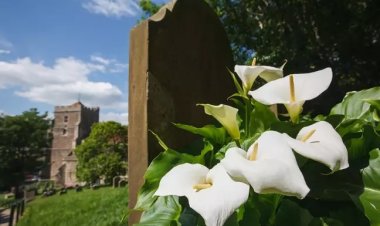 امرأة تعرض زهور جنازة جدتها للبيع.. والسبب صادم