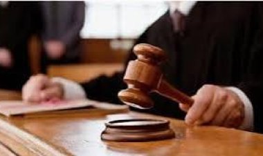 تأييد حبس سائق أوبر المتسبب في وفاة حبيبة الشماع 5 سنوات