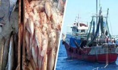 رسوم تراخيص الصيد وتجديدها.. التفاصيل وحالات وقف الرخصة