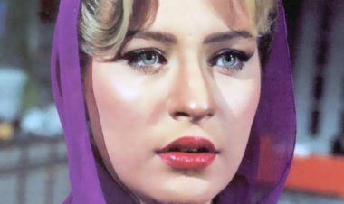 عميد معهد القلب السابق يكشف سبب وفاة الفنانة شيرين سيف النصر