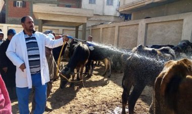 تنظيم قافلة طبية بيطرية مجانية بمدينة منشأة أبو عمر بالشرقية