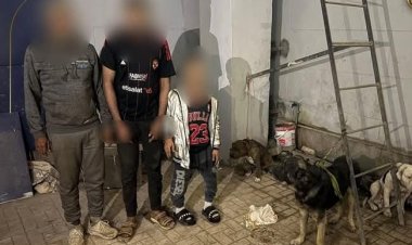 الأمن يضبط المتهمين بالإتجار بالكلاب الشرسة في الخصوص 