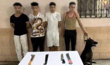 كشف ملابسات مشاجرة بالجيزة استخدم خلالها كلب وأسلحة بيضاء