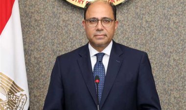 ردا على استدعاء السفيرة الإسرائيلية في مصر.. متحدث الخارجية: التواصل دلوقتي بقى مباشر