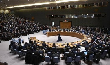 مجلس الأمن يهتز أثناء كلمة "أنقذوا الطفولة" عن غزة