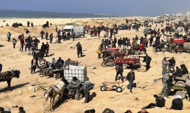 مفكر سياسي: اقتحام رفح الفلسطينية كان للضغط على حماس