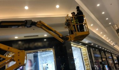   مأمورية أمنية تنجح فى إنقاذ قطة محتجزة أعلى واجهة محل بالإسكندرية 