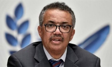 الصحة العالمية تعقد مؤتمرا صحفيا بشأن الأمراض غير السارية