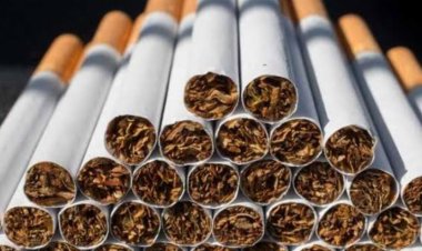 رئيس شعبة الدخان: 6 شركات رفعت أسعار السجائر بما يتراوح بين 8 و10 جنيهات