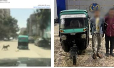 الأمن" يكشف ملابسات فيديو ربط "كلب نافق" بخلفية توك توك بالقاهرة