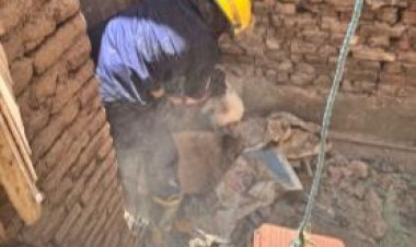 في استجابة فورية.. إنقاذ قطتين محتجزتين داخل عقار بالفيوم