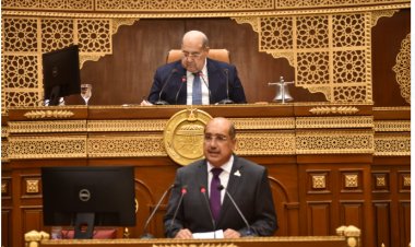 «برلماني»: هناك إشكالية كبيرة تتمثل في عدم توافق مخرجات التعليم مع متطلبات سوق العمل