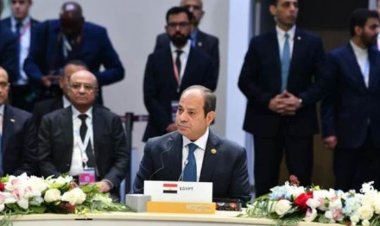 دبلوماسي سابق يكشف فوائد انضمام مصر لـ«البريكس»