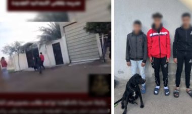 "مزحة ثقيلة".. الأمن يضبط 3 طلاب روعوا معلمتهم بـ "كلب" أمام مدرسة بالدقهلية