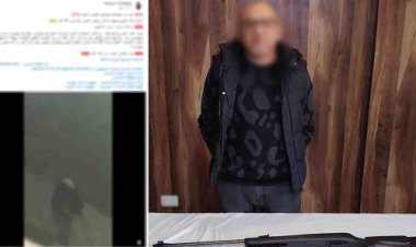 “خدشوا العربية”… القبض على المتهم بإطلاق النار على الكلاب الضالة