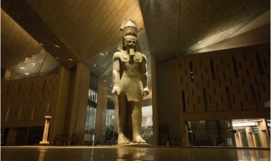 مهرجان القاهرة السينمائي الدولي يهنئ مصر بافتتاح المتحف المصري الكبير