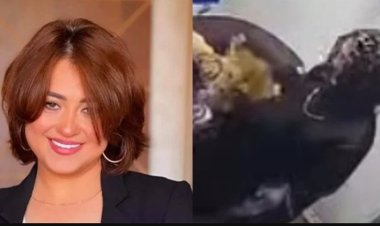 هجوم أسد على مروة عبد المنعم أثناء التصوير.. ونقلها إلى المستشفى