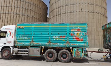 توريد 8895 طناً من محصول القمح بالشون والصوامع الحكومية بمراكز المنيا