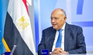 وزير الخارجية: مصر ترفض بشكل قاطع التهجير القسرى للفلسطينيين خارج أرضهم