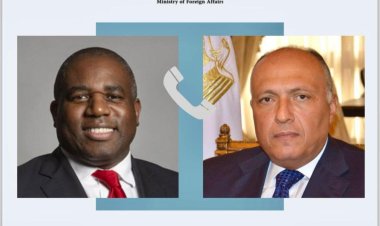 شكري يتلقى اتصالًا من وزير خارجية حكومة الظل عن حزب العمال البريطاني