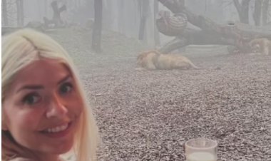 بتكلفة بلغت «64 ألف جنيه»... مذيعة تقضي عيد ميلادها بغرفة الأسود