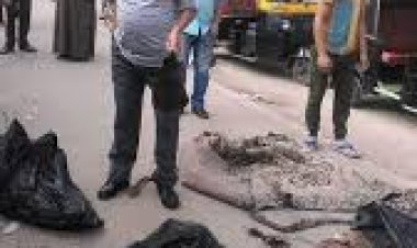 مصدر امنى يكشف حقيقة العثور على جثث 3 أطفال داخل أكياس بالمريوطية 