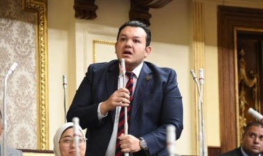 برلماني: لا أرفض الاقتراض ولكن الحكومة تحصل عليها دون إكمال دراساتها