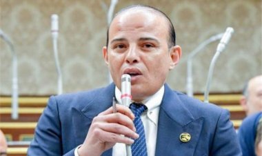 النائب عمرو القطامي: إسرائيل تُحاول «التنصل» مما تقوم به من ممارسات إجرامية في حق الفلسطينيين