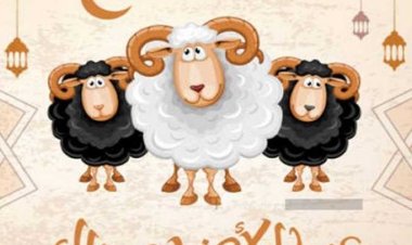 ميعاد وقفة عيد الأضحى 2024 بالميلادي في مصر