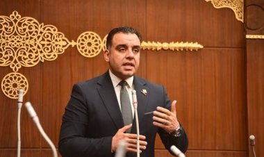 رئيس الشيوخ يحيل اقتراح بشأن تشجيع الزراعة بالوكالة في الدول الأفريقية إلى الحكومة