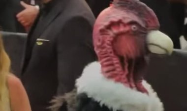 ديك رومي يسرق الأضواء على ريد كارت مهرجان كان