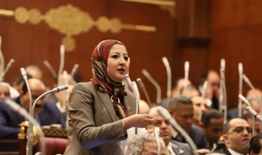 النائبة نهى الشريف: 50 % من إنتاجنا الزراعي فقط «يتم تصنيعه» والنصف الآخر يُصدر خام للخارج