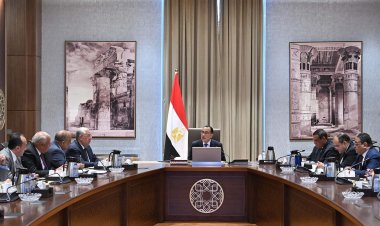 رئيس الوزراء يوجه بضرورة وضع خطة لإنتاج 100 طن من الحرير سنويا