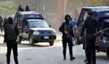 ضبط شخصين بتهمة تسميم الكلاب الضالة في الهرم 