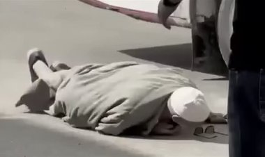 إخلاء سبيل السائق والكمسري في واقعة سقوط مسن من أتوبيس بالمنصورة