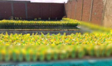 ضبط مصنع "بدون ترخيص" لإنتاج الأسمدة المغشوشة بـ 210 أطنان في القليوبية