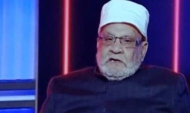 أحمد كريمة: 25 يناير عمل غوغائي.. وأرفض دخول الأحزاب الدينية مجلس النواب