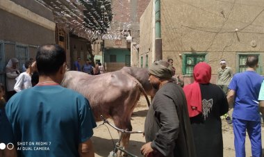 «الزراعة» تختتم فعاليات القافلة البيطرية المجانية بقرى سوهاج