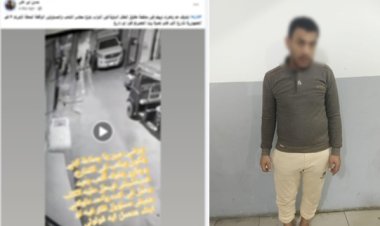 جنون المشاهدات السبب ..الأمن يكشف ملابسات ادعاء تحريض كلب على عقر طفل بالمحلة الكبرى