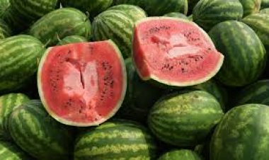 6 علامات تساعدك في اختيارالبطيخ  قبل الشراء
