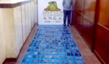 ضبط 3 عناصر إجرامية بحوزتهم مخدر الحشيش بقيمة 8 ملايين جنيه في الإسماعيلية والإسكندرية