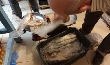 ضبط وإعدام 4 طن مواد غذائية مجهولة المصدر بدمياط