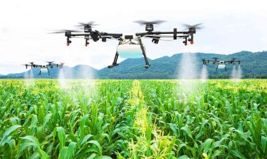 مصر تدخل عصر «الزراعة الذكية».. وخبير اقتصادي: تمثل حلاً مهمًا لمواجهة التحديات