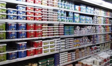 وكيل اقتصادية الشيوخ: أسعار الجبنة البيضاء زادت بنسبة تتراوح بين 15-20% وزيادة بنسبة 30-35% من يناير