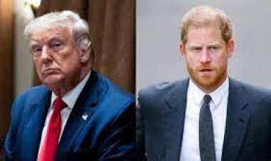 ترامب يندد بـ«الخيانة المدوية» لهاري بسبب المخدرات