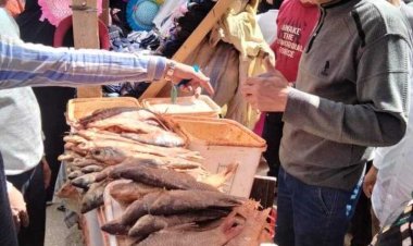 تموين المنيا يضبط 167 مخالفة متنوعة فى حملات على المخابز البلدية والأسواق