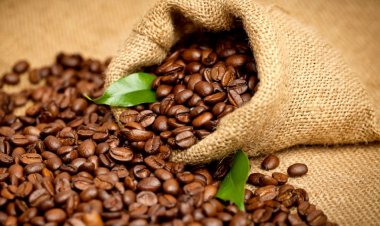 رئيس شعبة البن يكشف أسباب زيادة الأسعار